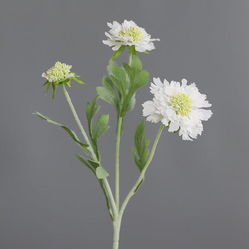 18 Inch Cephalaria Silk Flower Stems 10 Pcs Artificial Bulk for Wedding Home Decor