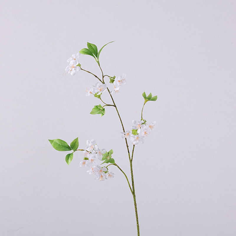 22.4 Inch Fontanesia Blossom Branch Stems, 6 Pcs Artificial Spring Flowers