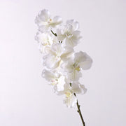 31 Inch Extra Long Vanda Orchid Stems 10 Pcs Real Touch Artificial Flowers Bulk