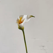 25.5 Inch Artificial Calla Lilies Long Stems Real Touch Bulk 10 Pcs Silk Flowers