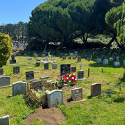 23 Inch Artificial Cemetery Mum Flower Bush with Mixed Rose Buds, 1 Pc, Silk Flowers for Graves Memorial Day Decor