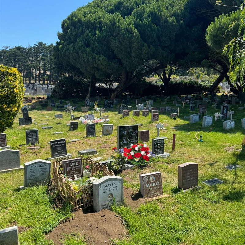 23 Inch Artificial Cemetery Mum Flower Bush with Mixed Rose Buds, 1 Pc, Silk Flowers for Graves Memorial Day Decor
