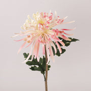 28.3 Inch Real Touch Spider Mum Artificial Flower for Wedding and Home Decor