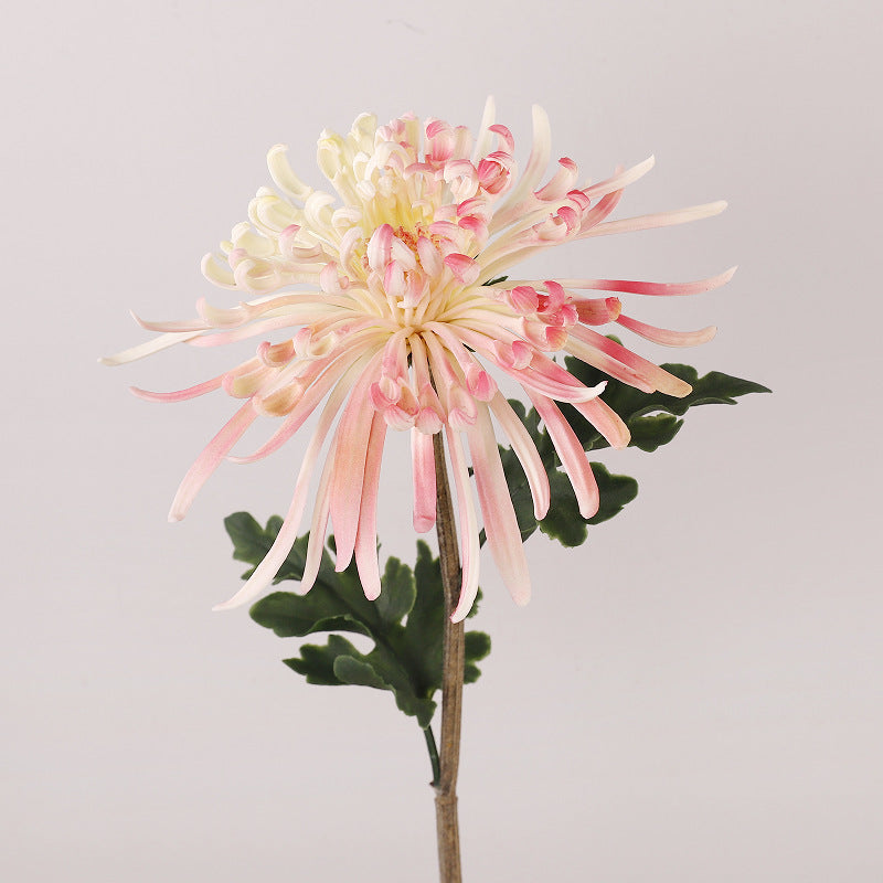 28.3 Inch Real Touch Spider Mum Artificial Flower for Wedding and Home Decor