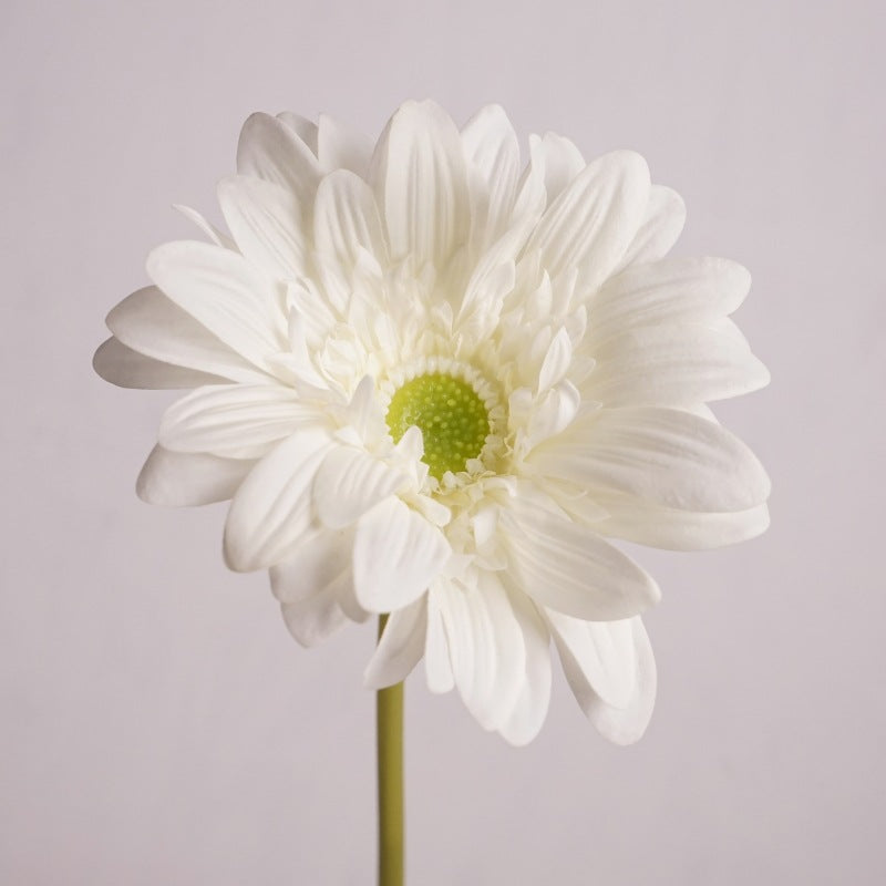 25.5 Inch Gerbera Daisy Stems 6 Pcs Real Touch Silk Artificial Flowers for Wedding Home Decor