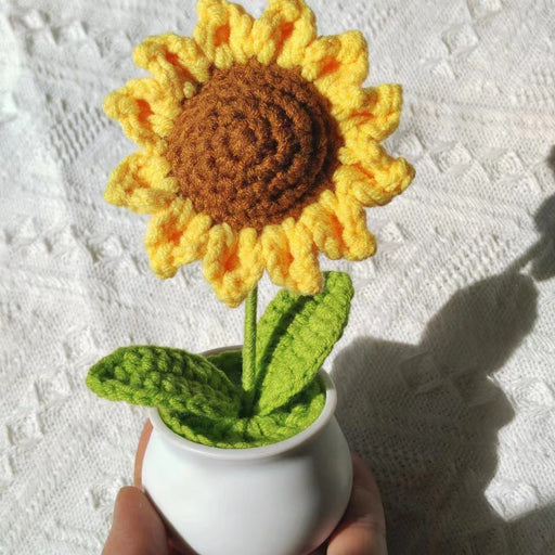 International Women's Day Gift Ideas for March 8 Celebration