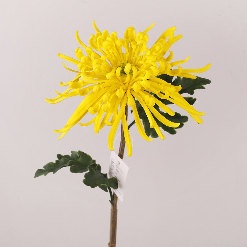 28.3 Inch Real Touch Spider Mum Artificial Flower for Wedding and Home Decor