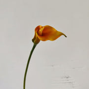 25.5 Inch Artificial Calla Lilies Long Stems Real Touch Bulk 10 Pcs Silk Flowers