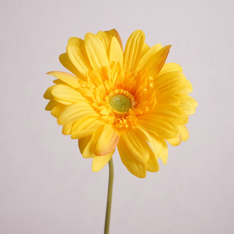 25.5 Inch Gerbera Daisy Stems 6 Pcs Real Touch Silk Artificial Flowers for Wedding Home Decor