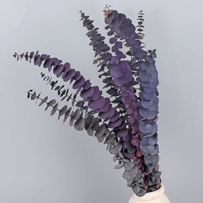 Bulk 10 Pcs Preserved Dried Eucalyptus Stems Home Decor Wholesale