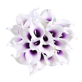 Bulk 20Pcs Calla Lily Flowers Bouquet Real Touch Black Halloween Flowers Table Centerpieces Wholesale