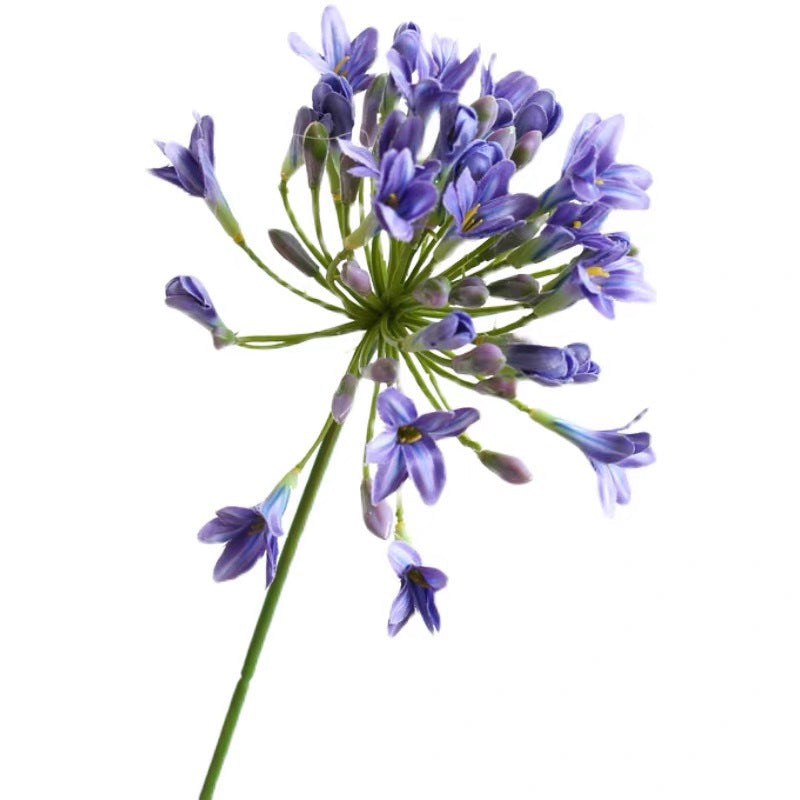 Bulk 29" Agapanthus Stems Lily of The Nile Live Plants Flowers Silk Artificial Flower Wholesale