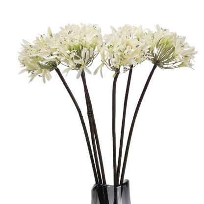 Bulk 25" Agapanthus Stems Lily of The Nile Live Plants Flowers Silk Artificial Flowers Wholesale