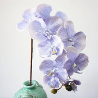 Bulk 37" Phalaenopsis Orchids Long Stem Silk Flowers for Table Centerpieces Wedding Crafts Wholesale