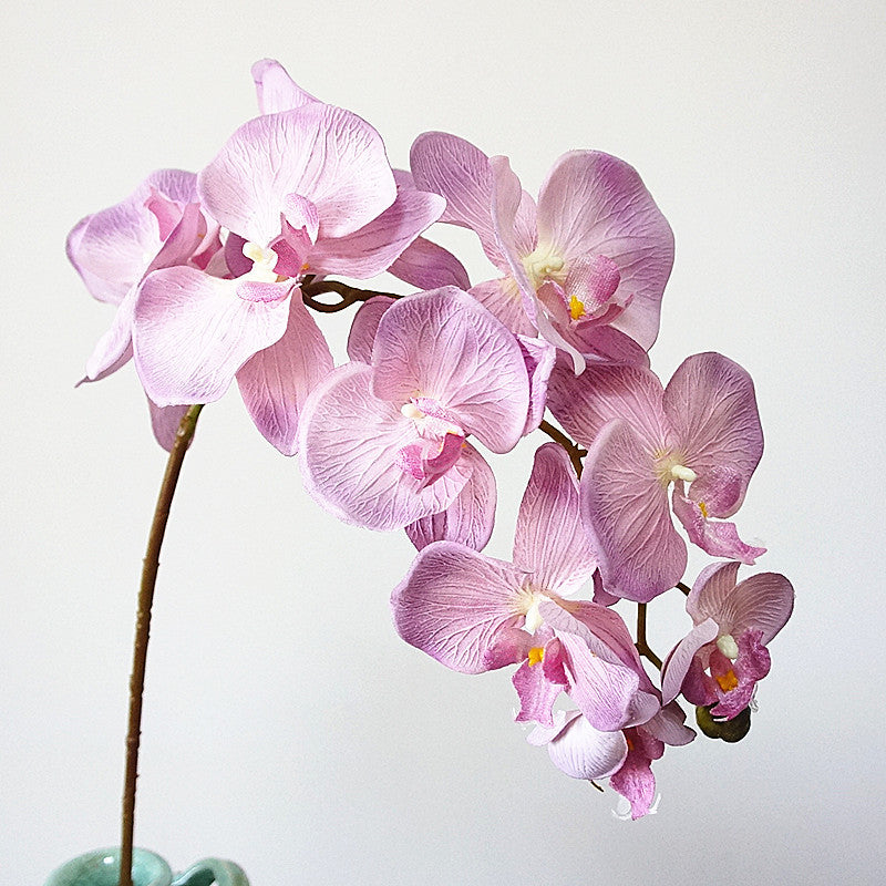 Bulk 37" Phalaenopsis Orchids Long Stem Silk Flowers for Table Centerpieces Wedding Crafts Wholesale