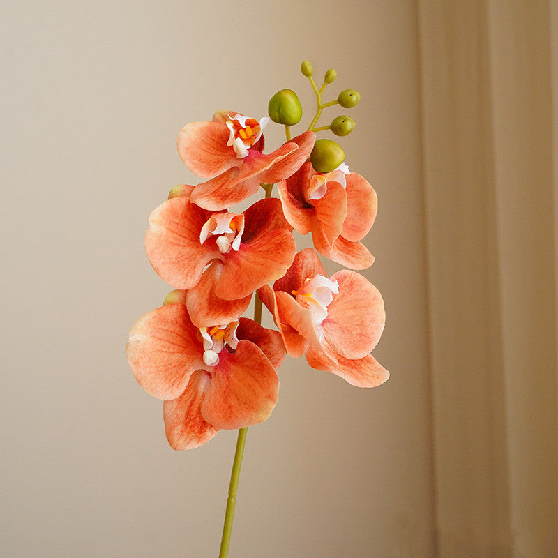 Bulk 17" Real Touch Phalaenopsis Orchid Stems Artificial Flowers for Home and Event Decor Wholesale