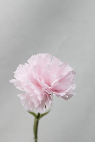 Bulk 10.6 Inch Carnations Stem Artificial Carnation Flowers Wholesale