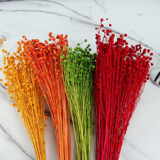 Bulk 20Pcs Dried Bean Fruits Flowers Bouquet for Crafts DIY Halloween Centerpiece Home Decor Wholesale