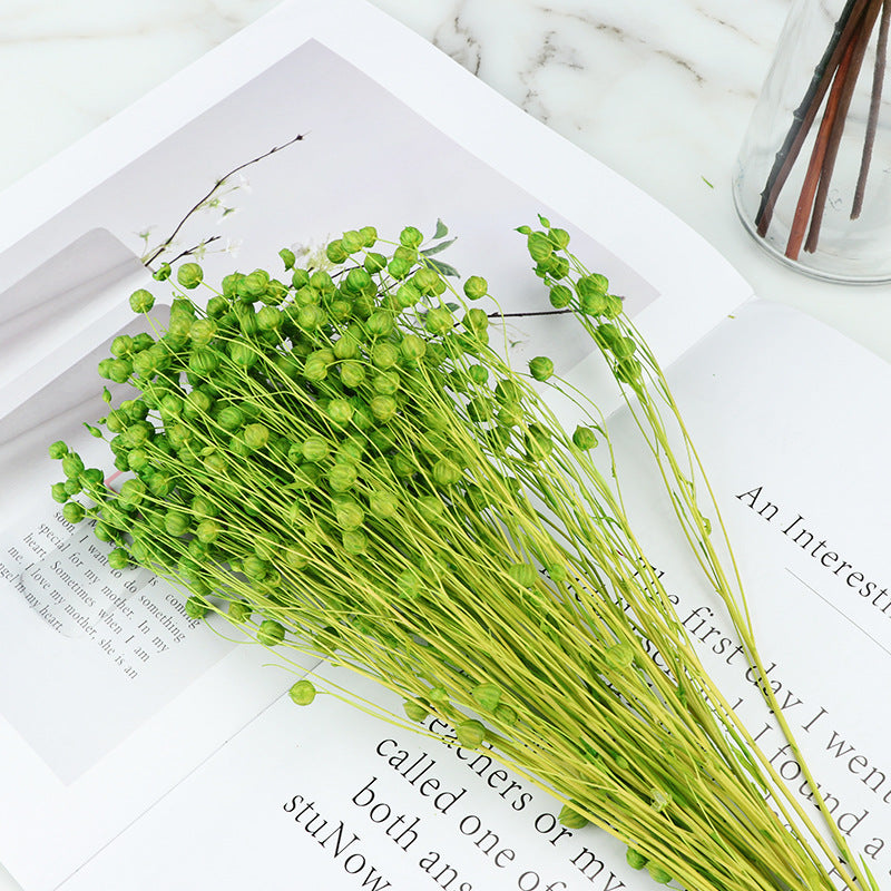 Bulk 20Pcs Dried Bean Fruits Flowers Bouquet for Crafts DIY Halloween Centerpiece Home Decor Wholesale