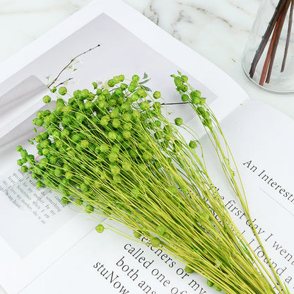 Bulk 20Pcs Dried Bean Fruits Flowers Bouquet for Crafts DIY Halloween Centerpiece Home Decor Wholesale