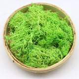 Bulk 1.7 Ounce Preserved Moss Dried Moss for Crafts Table Centerpieces Fairy Garden Wedding Party Decor Wholesale