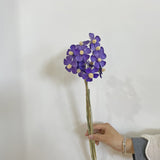 Bulk 13" Dried Violet Orchid Flowers Arrangements Wedding Home Decorations Wholesale