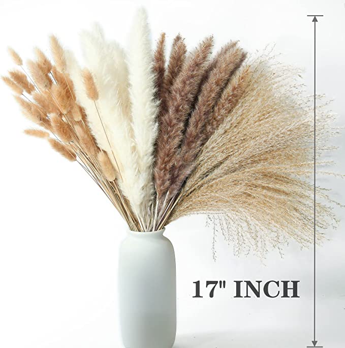 Bulk 100 PCS 17" Pampas Grass Bunny Tails Reed Grass Bouquet Flowers Arrangements Wholesale