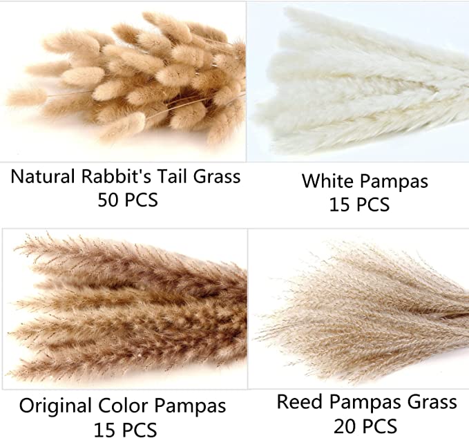 Bulk 100 PCS 17" Pampas Grass Bunny Tails Reed Grass Bouquet Flowers Arrangements Wholesale