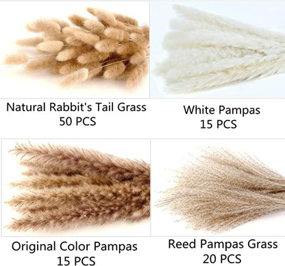 Bulk 100 PCS 17" Pampas Grass Bunny Tails Reed Grass Bouquet Flowers Arrangements Wholesale