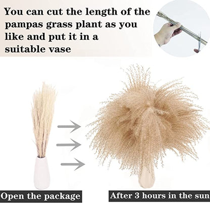 Bulk 100 PCS 17" Pampas Grass Bunny Tails Reed Grass Bouquet Flowers Arrangements Wholesale