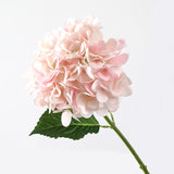 Bulk Endless Hydrangea Stems Real Touch Artificial Hydrangeas Flower Arrangements Realistic Hydrangeas Wholesale