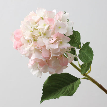 Bulk Endless Hydrangea Stems Real Touch Artificial Hydrangeas Flower Arrangements Realistic Hydrangeas Wholesale