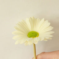 Floral Decor Artificial Gerbera Daisy Stems, 15 in Real-Touch PU Faux Flowers for Venue Styling