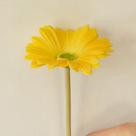 Floral Decor Artificial Gerbera Daisy Stems, 15 in Real-Touch PU Faux Flowers for Venue Styling
