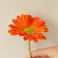 Floral Decor Artificial Gerbera Daisy Stems, 15 in Real-Touch PU Faux Flowers for Venue Styling