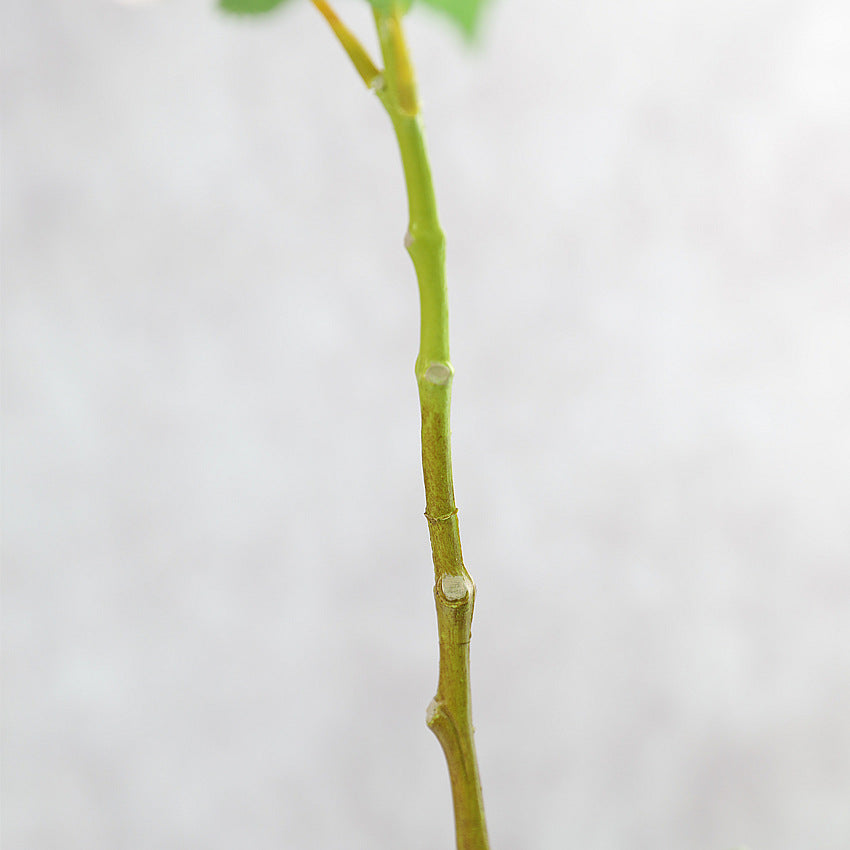 Premium 18" Silk Hydrangea Stems - Realistic Artificial Flowers Arrangements for Wedding Home Décor & Floral Centerpieces