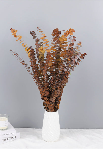 Bulk 10 Pcs Preserved Dried Eucalyptus Stems Home Decor Wholesale