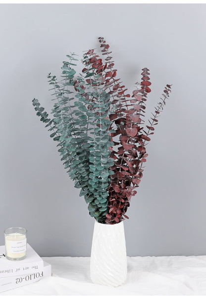 Bulk 10 Pcs Preserved Dried Eucalyptus Stems Home Decor Wholesale