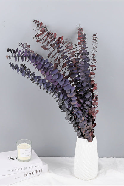 Bulk 10 Pcs Preserved Dried Eucalyptus Stems Home Decor Wholesale