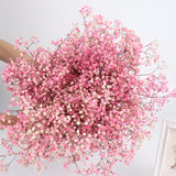 Bulk 1 Bundle Dried Baby's Breath Gypsy Flowers for Wedding Party Floral Arrangement Home Decor Wholesale