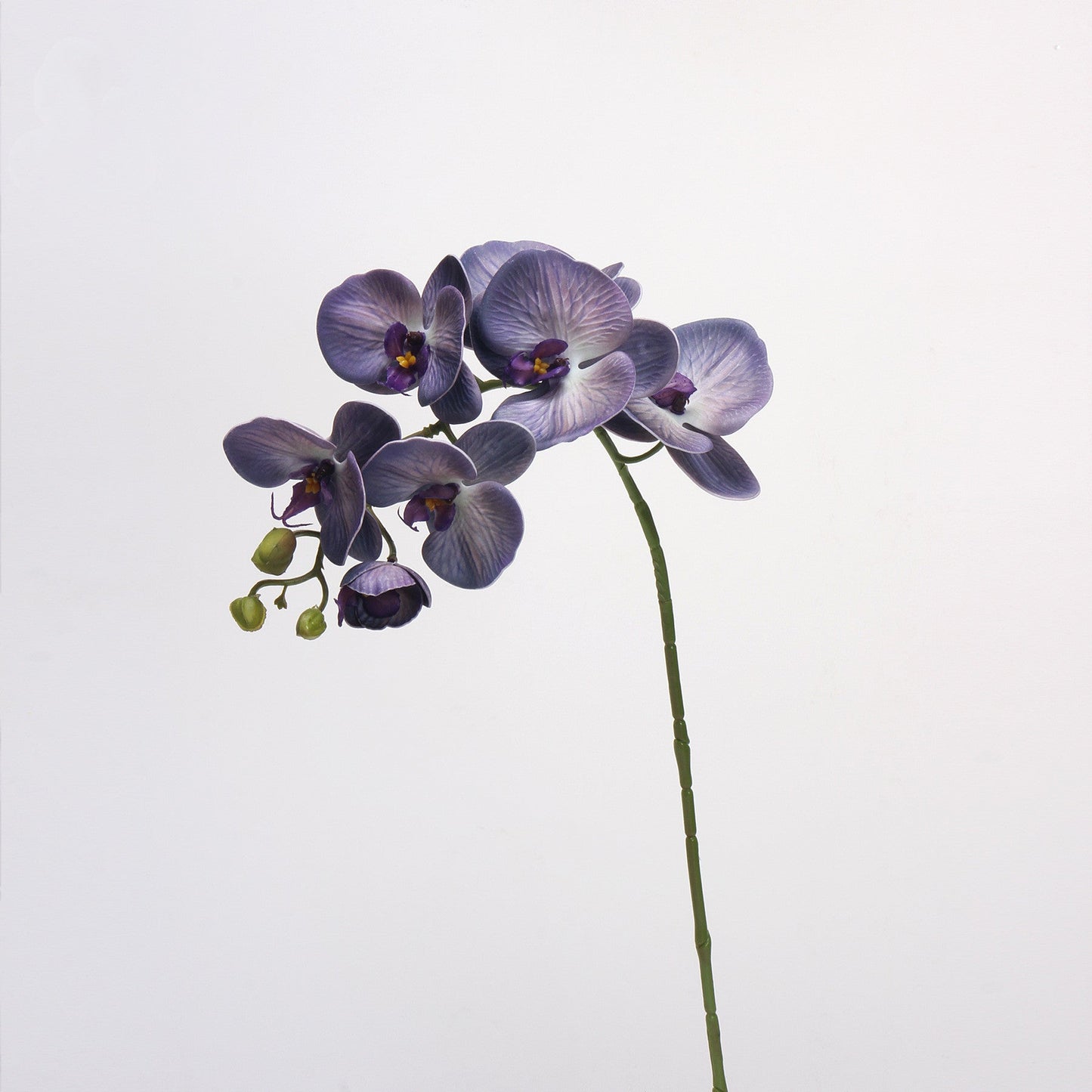 Bulk 27" Advanced Retro Phalaenopsis Moth Orchids Stems Real Touch Artificial Flowers Wholesale