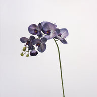 Bulk 27" Advanced Retro Phalaenopsis Moth Orchids Stems Real Touch Artificial Flowers Wholesale