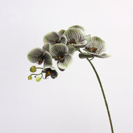 Bulk 27" Advanced Retro Phalaenopsis Moth Orchids Stems Real Touch Artificial Flowers Wholesale