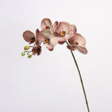 Bulk 27" Advanced Retro Phalaenopsis Moth Orchids Stems Real Touch Artificial Flowers Wholesale