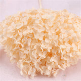 Bulk Preserved Large Hydrangea for DIY Crafts Flowers Arrangements Wholesale