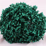 Bulk Preserved Large Hydrangea for DIY Crafts Flowers Arrangements Wholesale