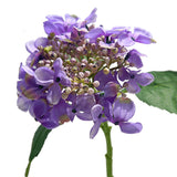 Bulk 17" Artificial Hydrangeas with Seeds Stem Silk Flowers Wholesale