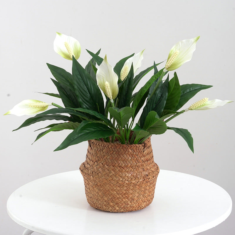 Bulk Artificial Peace Lily Spathiphyllum Bush Artificial Flower Plant Wholesale