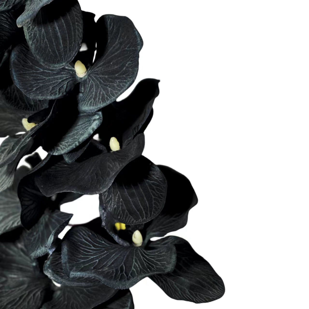 Bulk Halloween Black Flowers Artificial Phalaenopsis Orchid Stems Flower Arrangements Wholesale