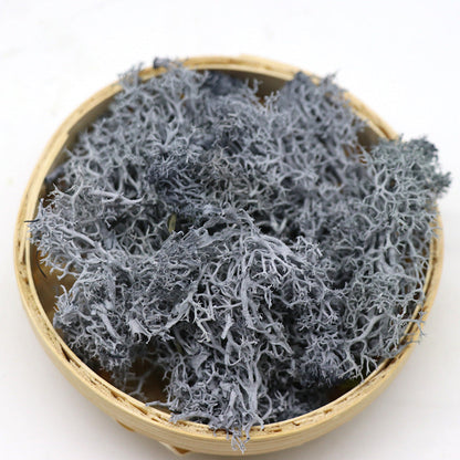 Bulk 1.7 Ounce Preserved Moss Dried Moss for Crafts Table Centerpieces Fairy Garden Wedding Party Decor Wholesale